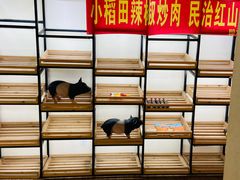 面包甜点陈列柜-小稻田辣椒炒肉(大浪商业中心店)