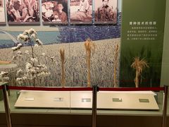 -中国农业博物馆