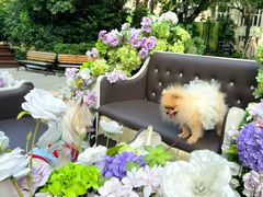 -J Create城市露营咖啡·简餐·宠物(上海动物园店)