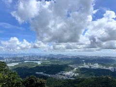 -阳台山森林公园