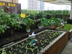 -巴黎春天(浦建店)