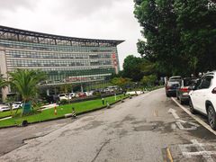 -上海中医药大学附属曙光医院(东部)