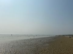 -合肥滨湖国家森林公园