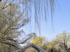 -颐和园