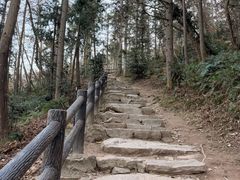 -冶父山国家森林公园