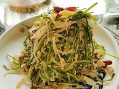 银芽炒野莲-阿谋美食·广西菜