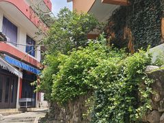 -东沙渔村