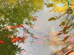 -江苏三台山国家森林公园