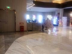 -万象影城(石家庄万象城IMAX激光店)