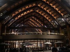 -三亚湾海居铂尔曼度假酒店