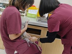 -美联众合动物医院·24h京西诊疗中心