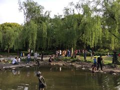 -苏州河梦清园环保主题公园