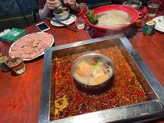 -二荆条·蜀鲜汇城市森林火锅