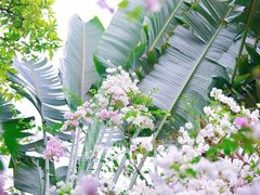 -深圳国际园林花卉博览园