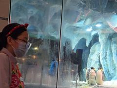 -帝企鹅自助餐厅•儿童岛•真企鹅(长隆企鹅酒店)