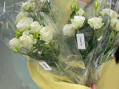 -闸弄口(地铁站)