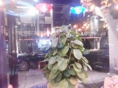 -印象江南(东栅店)