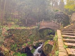-莫干山风景区