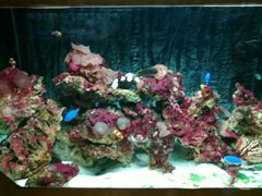 -北戴河圣蓝海洋公园