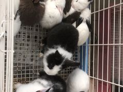 -三旗百汇商品城