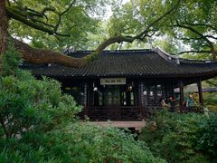 -上海醉白池公园