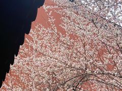 -钱王祠