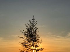 -白沙门生态公园