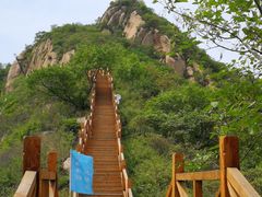 -大岭沟猕猴桃谷风景区