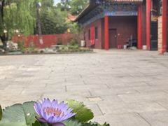 -开福禅寺
