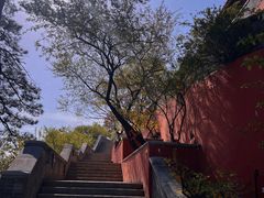 -妙峰山风景名胜区