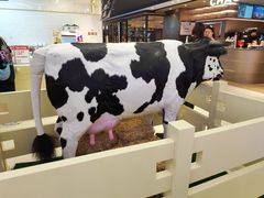 -红星前进面包牛奶公司(君太店)