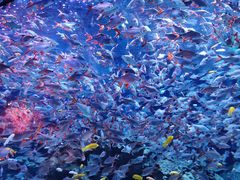 -成都浩海立方海洋公园