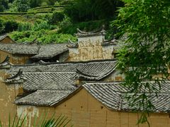 -杨家堂村