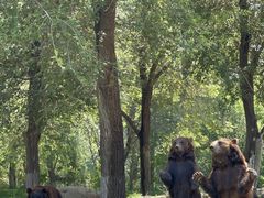 -北京野生动物园