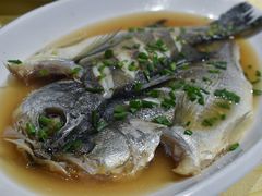 清蒸海鲈鱼-劲莲舟山海鲜(东书房路店)