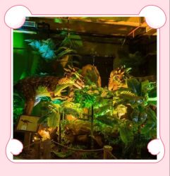 -恐龙探索乐园(磁器口店)