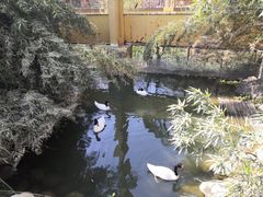 -临沂动植物园