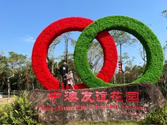 -中澳友谊花园