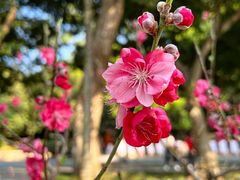 -桃花涧