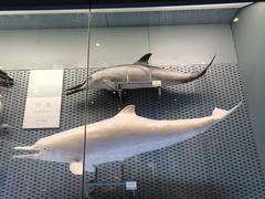 -浙江自然博物院(杭州馆)