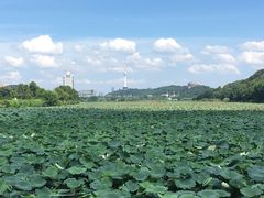 -武汉琴台钢琴博物馆