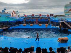 -海合安青岛极地海洋公园