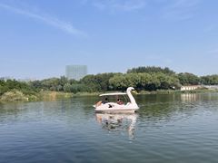 -大兴滨河森林公园