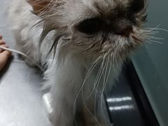 -美联众合动物医院·24h转诊中心