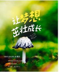-Oasis Beauty水磨坊科技美肤中心