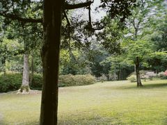 -杭州植物园