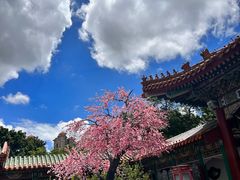 -珠海圆明新园