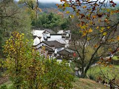 -塔川景区
