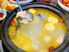 -志晖园圆子鸡·辣子鸡(阳光店)