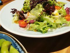 有机蔬菜沙拉-森味薪火烧•烧鸟居酒屋•日本料理(望京店)